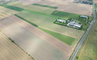 Teren extravilan 12.000 mp DN79 Arad-Oradea - Poză 11