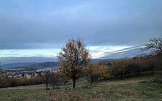 Teren 7199mp Intravilan cu Vedere Panoramica Superbă, Ideal Investitie - Poză 14