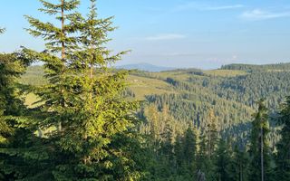 50 hectare teren | Moldova-Sulita | Potential turistic si agricol - Poză 7