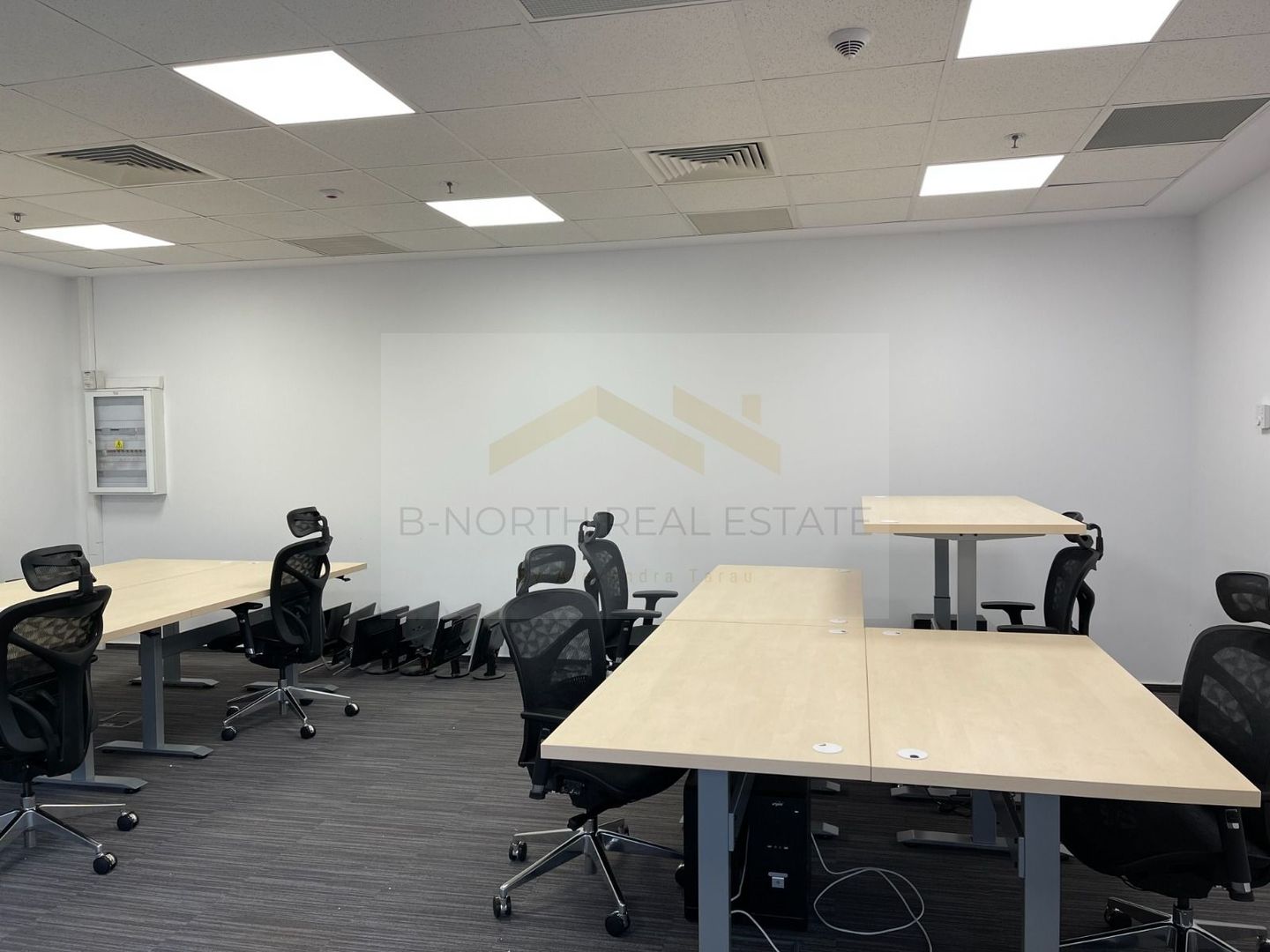 Spațiu birouri parter de închiriat, AFI Park 5, intrare separată - Poză 5