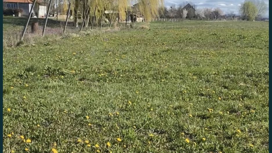 Vind teren intravilan Decebal - Poză 4