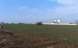 Dragomiresti Valea - Langa Centura, teren 15.600 mp, 35E/mp - Poză 4