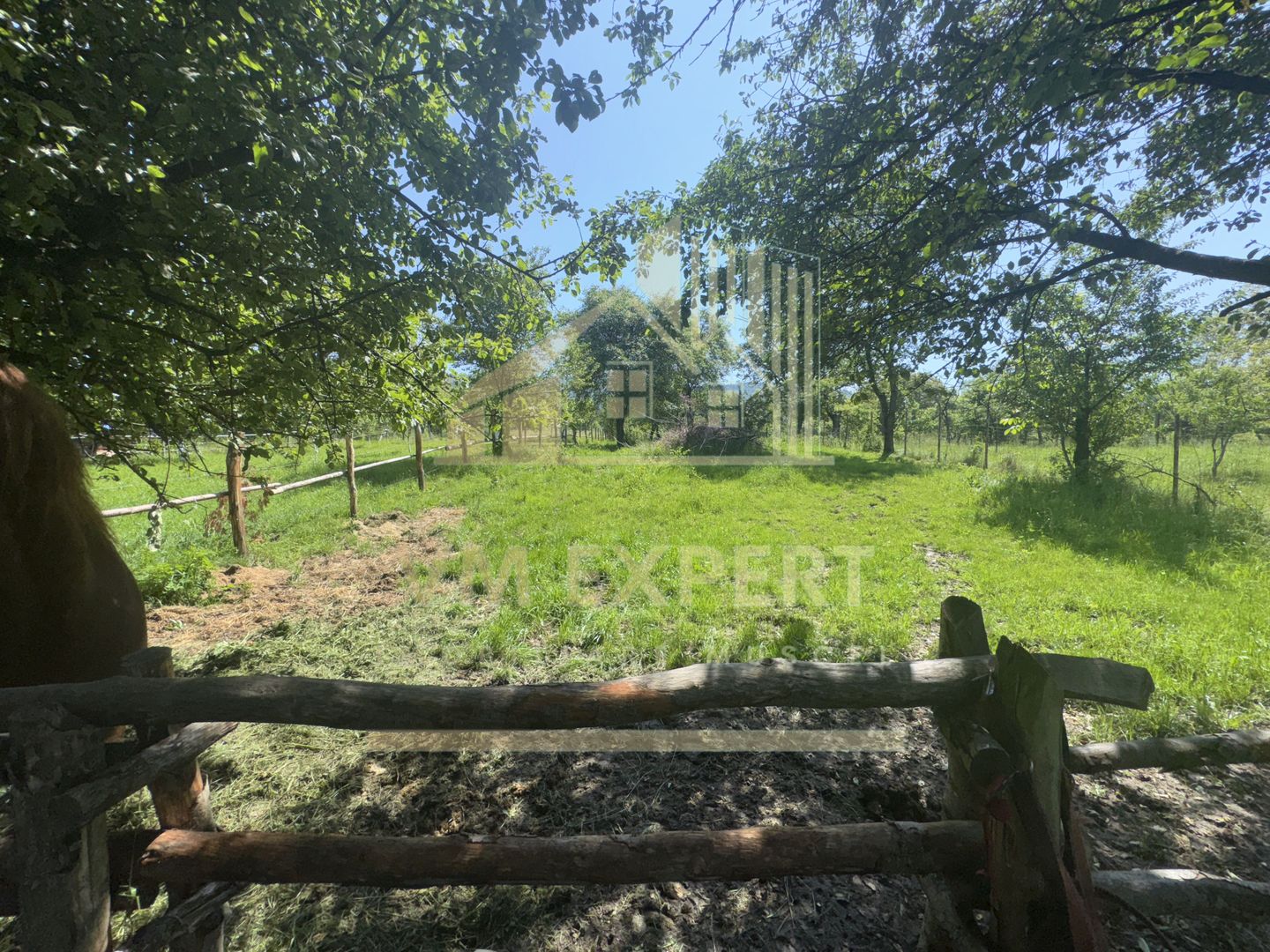 VILA 5 CAMERE, TEREN 4520 MP, LERESTI, ARGES - Poză 18