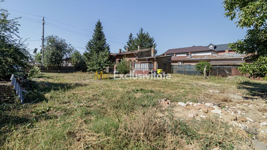 teren 3889 mp Domnesti Primarie - Poză 2
