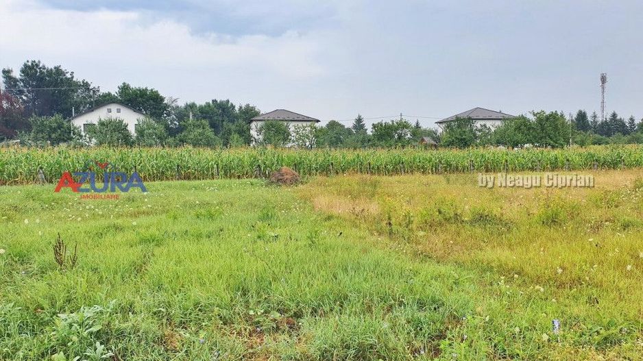 Vanzare Teren Racovita Intravilan - Poză 11