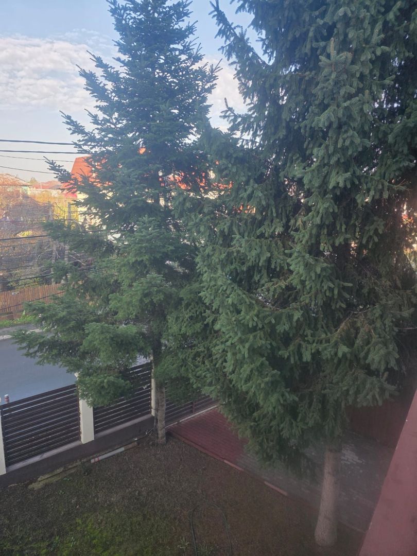 Casa de vanzare |Otopeni | Central | - Poză 14