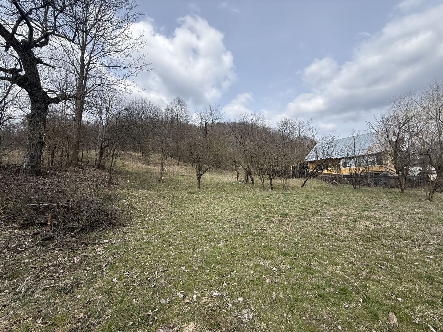 Teren 6040 mp la baza pădurii deschidere 40 ml - Poză 4