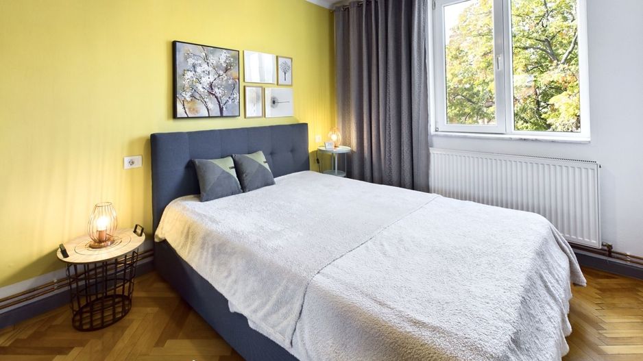 Apartament 2 camere, primitor si vibrant, Central- Univ. Politehnica - Poză 7