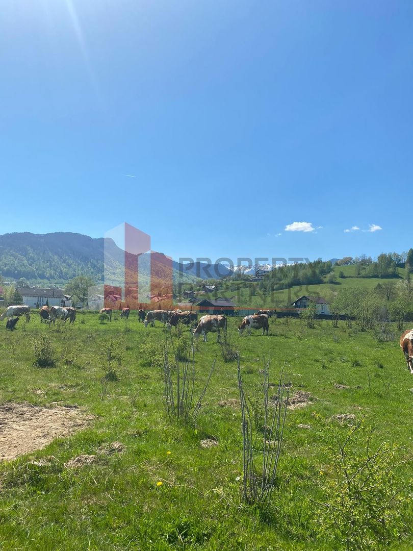 Teren Bran/ Predelut 10.663 mp. - Poză 2
