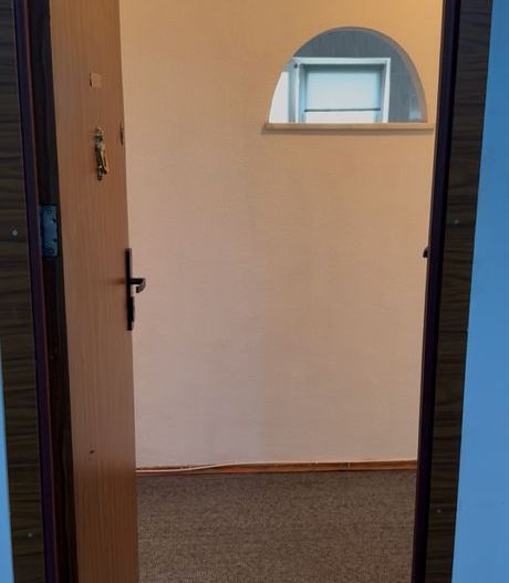 APARTAMENT LUMINOS ZONA TINERETULUI - Poză 4