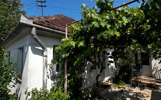 Casă de vânzare în Peștișu Mare – garaj și toate utilitățile - Poză 3