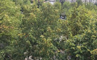 Apartament 2 camere spatios | Birouri / locuit | Bd.Unirii - Tribunal - Poză 11