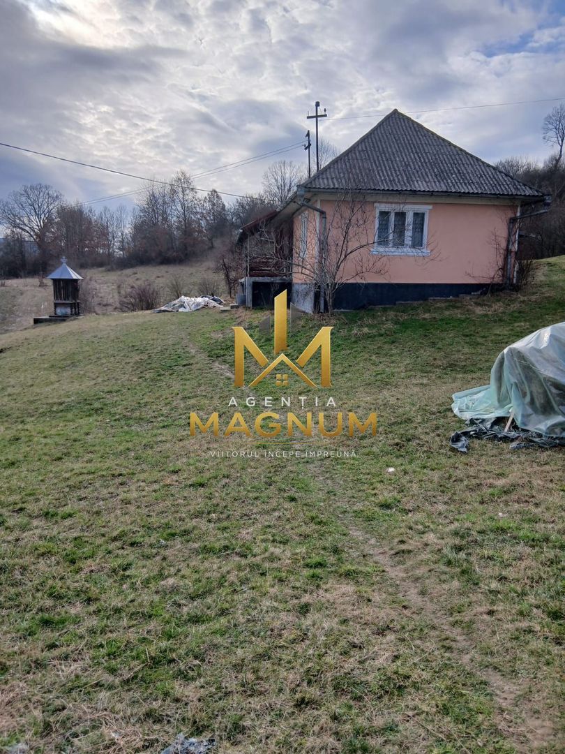 Casa de vanzare in Berinta Maramures - Poză 9
