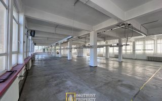Hală Industrială de inchiriat – Lipova, Județul Arad - Poză 18