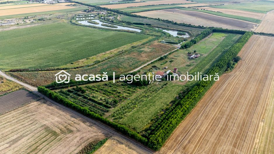 Preț nou! De vânzare teren 7.6 Ha în Pecica - Poză 3