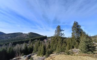 Teren de vânzare în zona montană a județului Alba - Poză 8