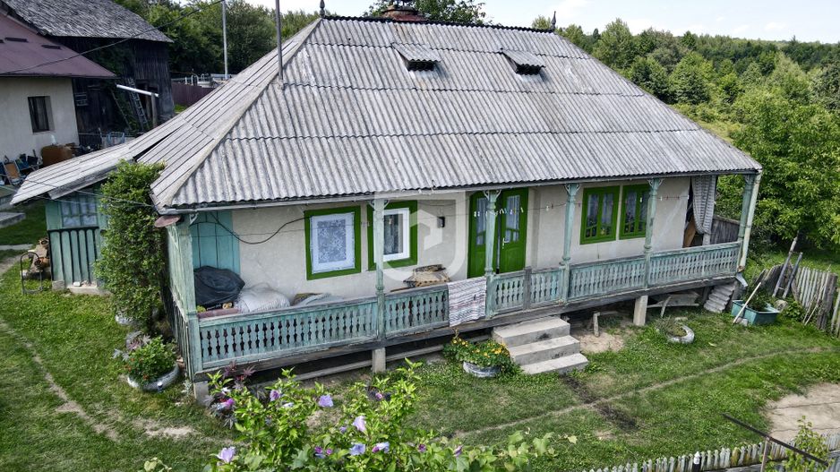 Ferma agricola, plantatii de mure, trandafiri, vita-de-vie - Poză 5