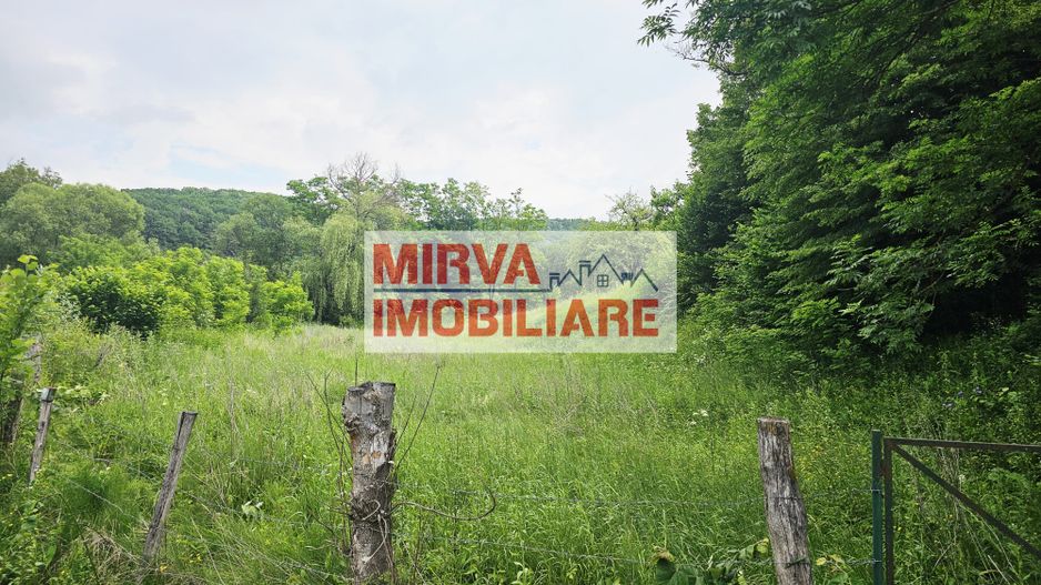 Teren intravilan lângă pădure – 1659 mp,  C.U. P+2E, Vărbilău - Poză 1