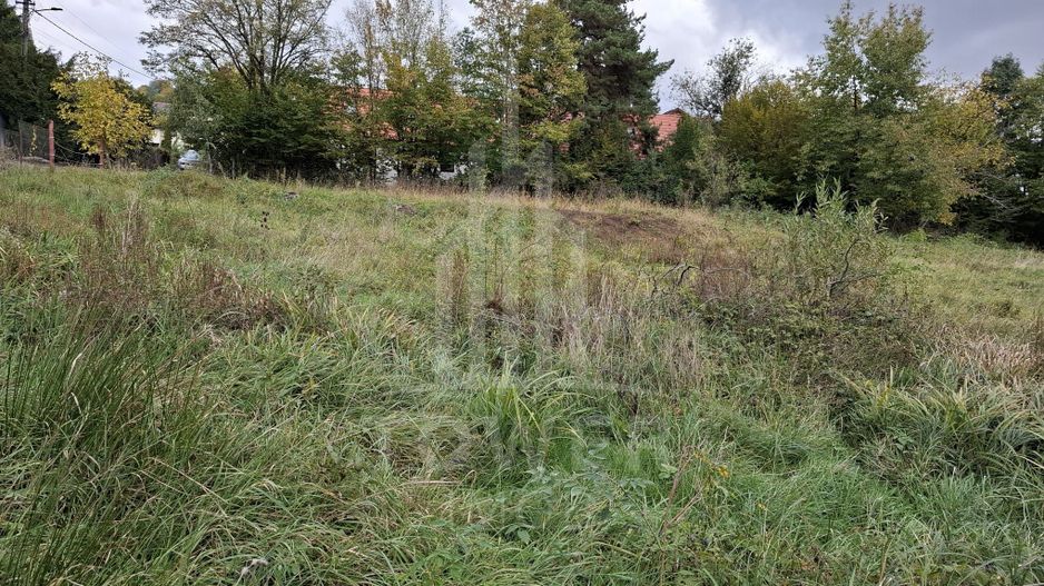 Teren intravilan cu Puz si priveliște deosebită, spre Cetatea Cisnădioara - Poză 9