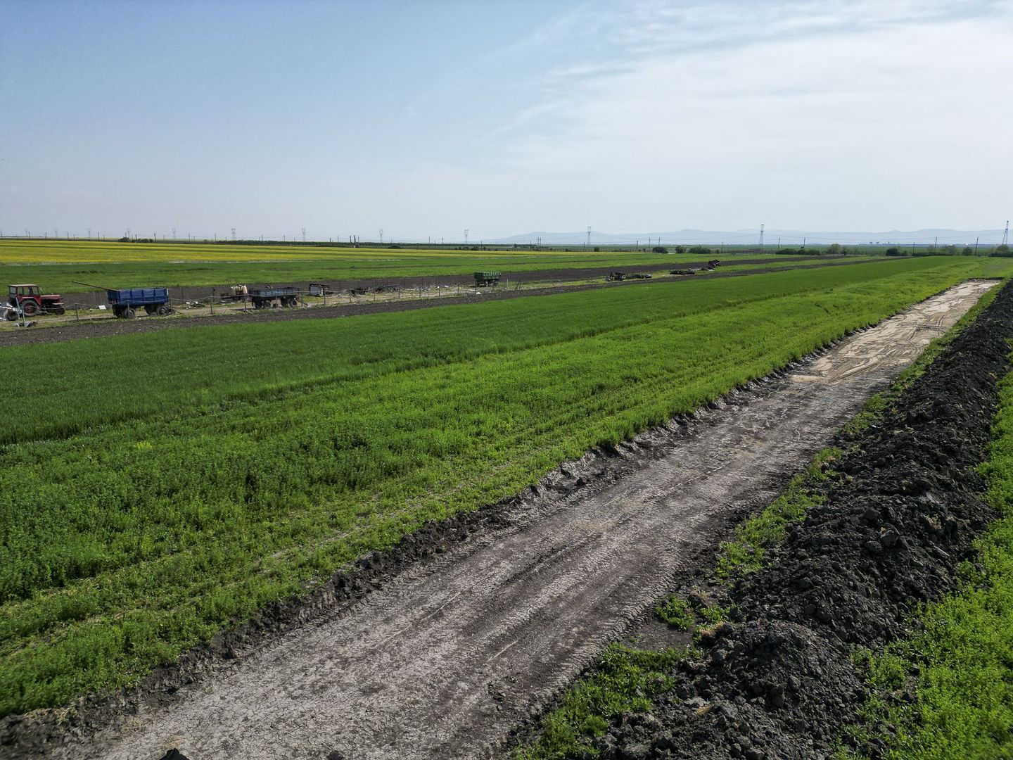 Loc de casa de 504 mp în Livada - Poză 3