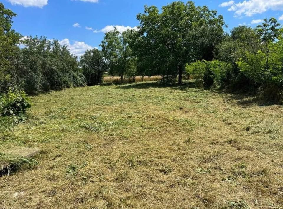 Casă și teren, 1.000 mp, Ciulești. 18.000 E. Comision 0 - Poză 5