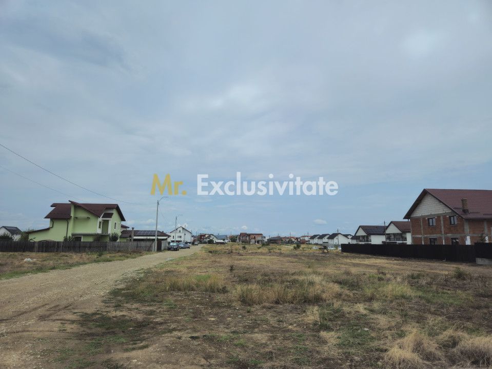 Comision 0% - Teren 10.000 mp - Str. Octavian Goga, Craiovei! - Poză 2