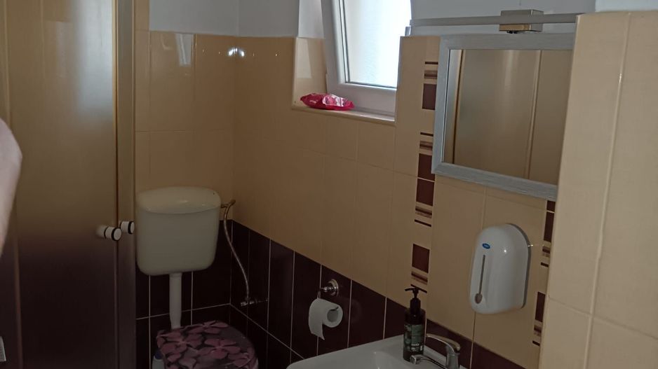 Giroc-Satu Batran | Casa individuala | 3 Camere | Mobilata-Utilata | Garaj - Poză 7