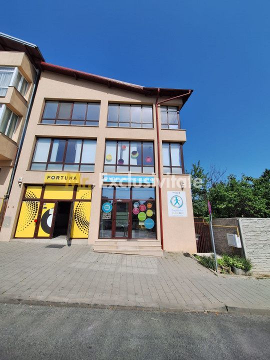 Spatiu Comercial Multifunctional Banat-CLASA A - Poză 15