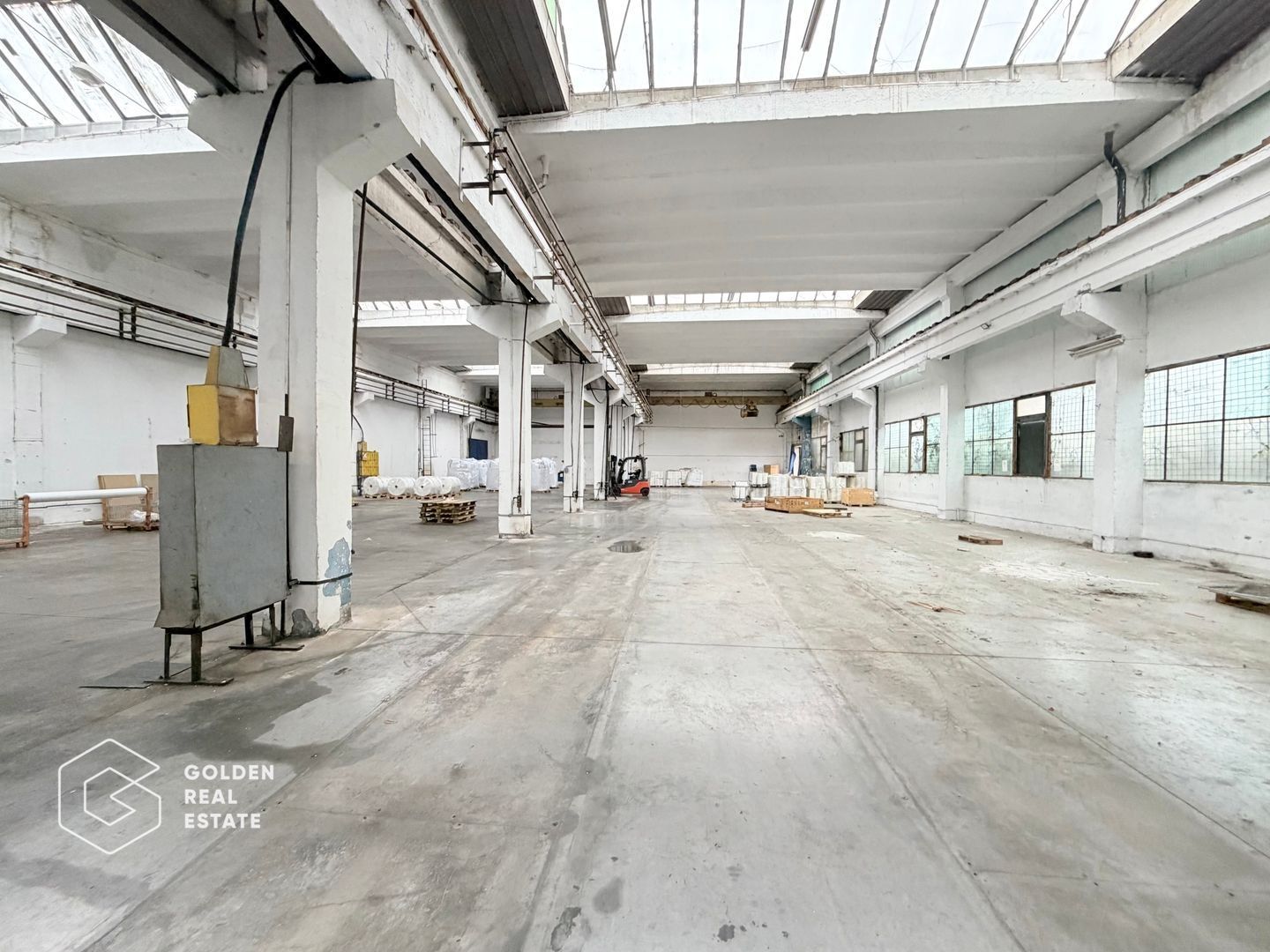 Hala industriala cu pod rulant, Sanicolau Mic, suprafata 1.187 mp - Poză 6