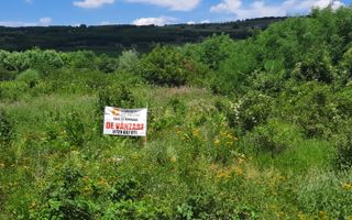 🌳 🌞🌿 TEREN INTRAVILAN  2800 mp - 30 Euro/mp  - RATE LA  NOTARIAT  ! 🌳🌞🌿 - Poză 4