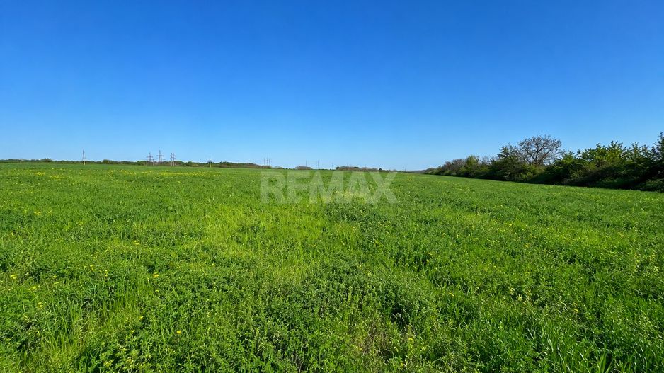 Teren agricol de 40 ari în Ghidighici – oportunitate pentru investiție sau activitate agricolă - Poză 4