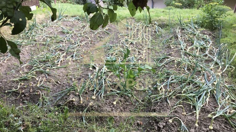 CASA 6 CAMERE TEREN 1005 MP  BUGHEA DE JOS ARGEȘ - Poză 38