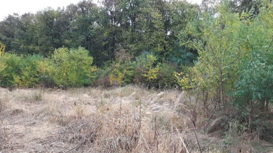 Teren Gruiu sat Lipia - Poză 4