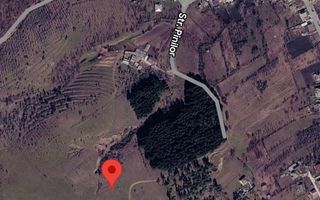 26 Ari Sociteni Agricol Lânga Padure - Poză 3