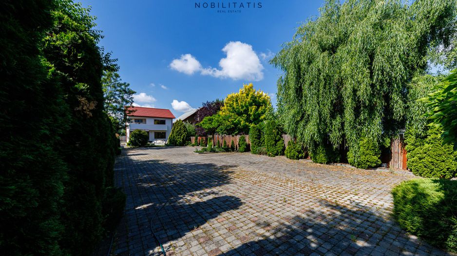 Oferta inchiriata - Cladire comerciala - Fropin & Lidl | 10 locuri parcare - Poză 8