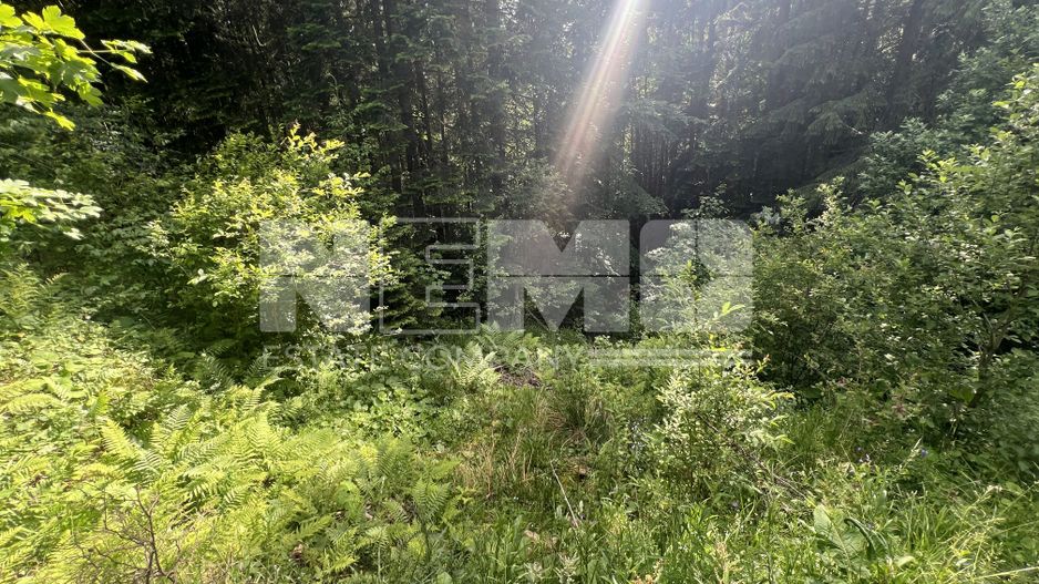 Teren Intravilan | Brodina de Jos | 16900 MP - Poză 9