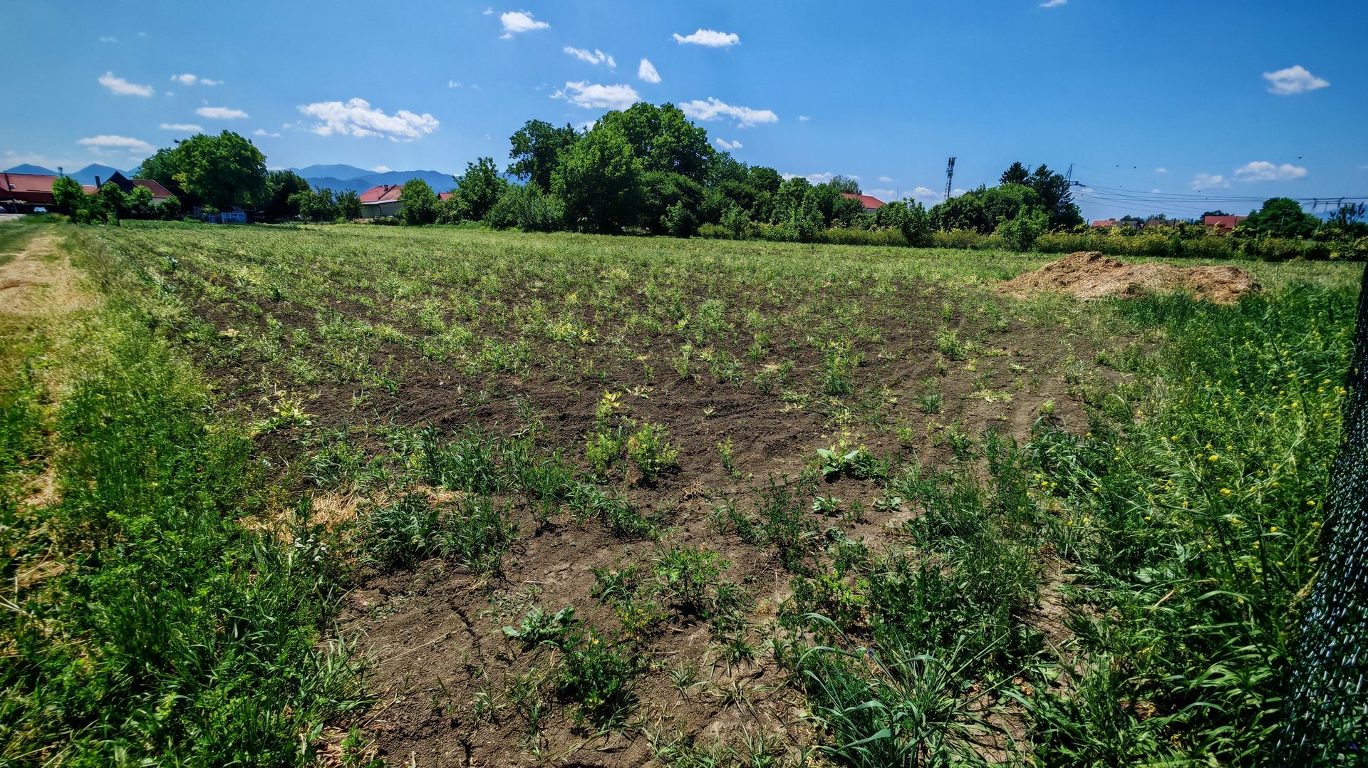 Teren intravilan in Stupini aproape de Centrul Cartierului 856 mp - Poză 4