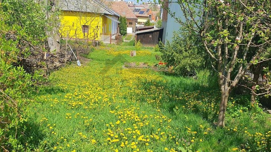 🏡 Închiriez ap. 2 camere 330€ – curte + terasă, zona semicentrală, - Poză 7