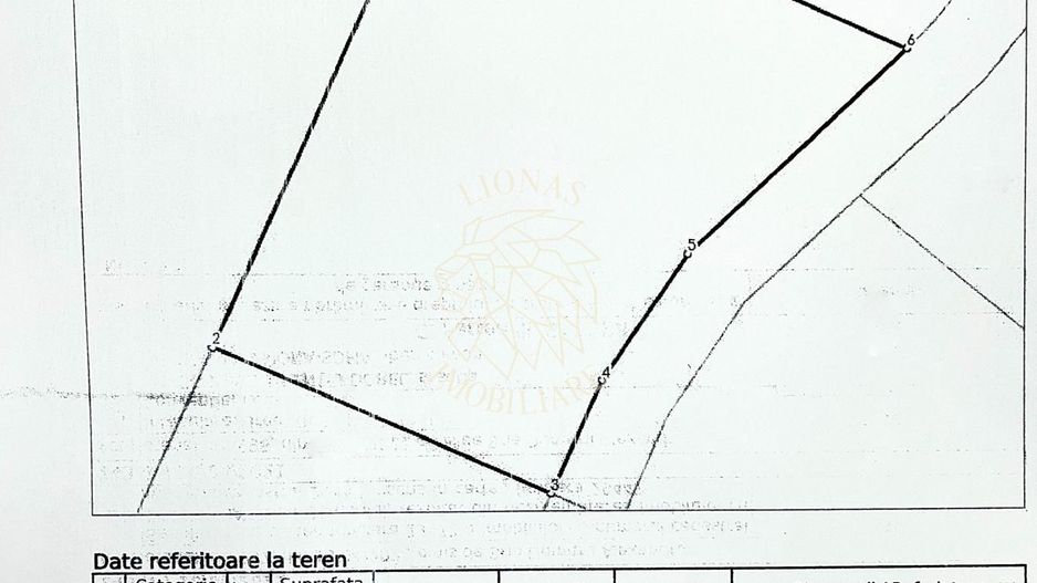 Teren intravilan 1000 mp-ideal cabana, investitie-Colibita - Poză 3