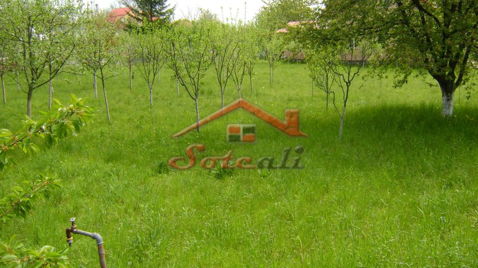 Teren de vanzare in Cornu 1183 mp - Poză 6