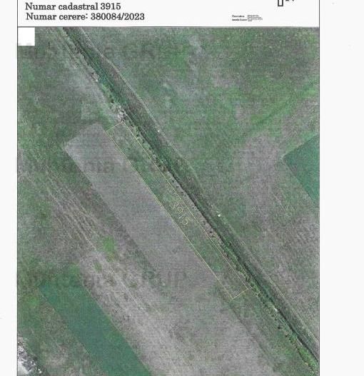 BUFTEA - Sos. Tamasi, Tarla 38, Parcela 351, teren 5.328 mp. - Poză 3