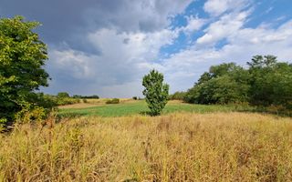 Casa + Teren 13.000 mp - Cervenia - Teleorman - Poză 5