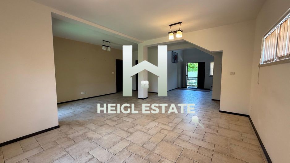 Casa individuala—perfecta pentru familie sau business - Poză 3