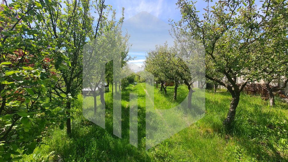 Casa de vanzare - IDEAL INVESTITIE - 1652mp teren - Daia - 105mpu - Poză 6