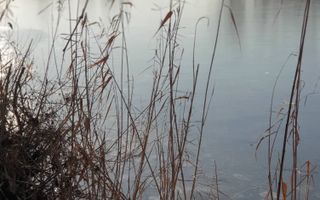 Teren superb rezidential, pe malul lacului Pipera - Poză 4