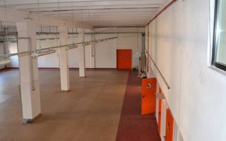 Hala de vanzare in zona Torontalului - Poză 8