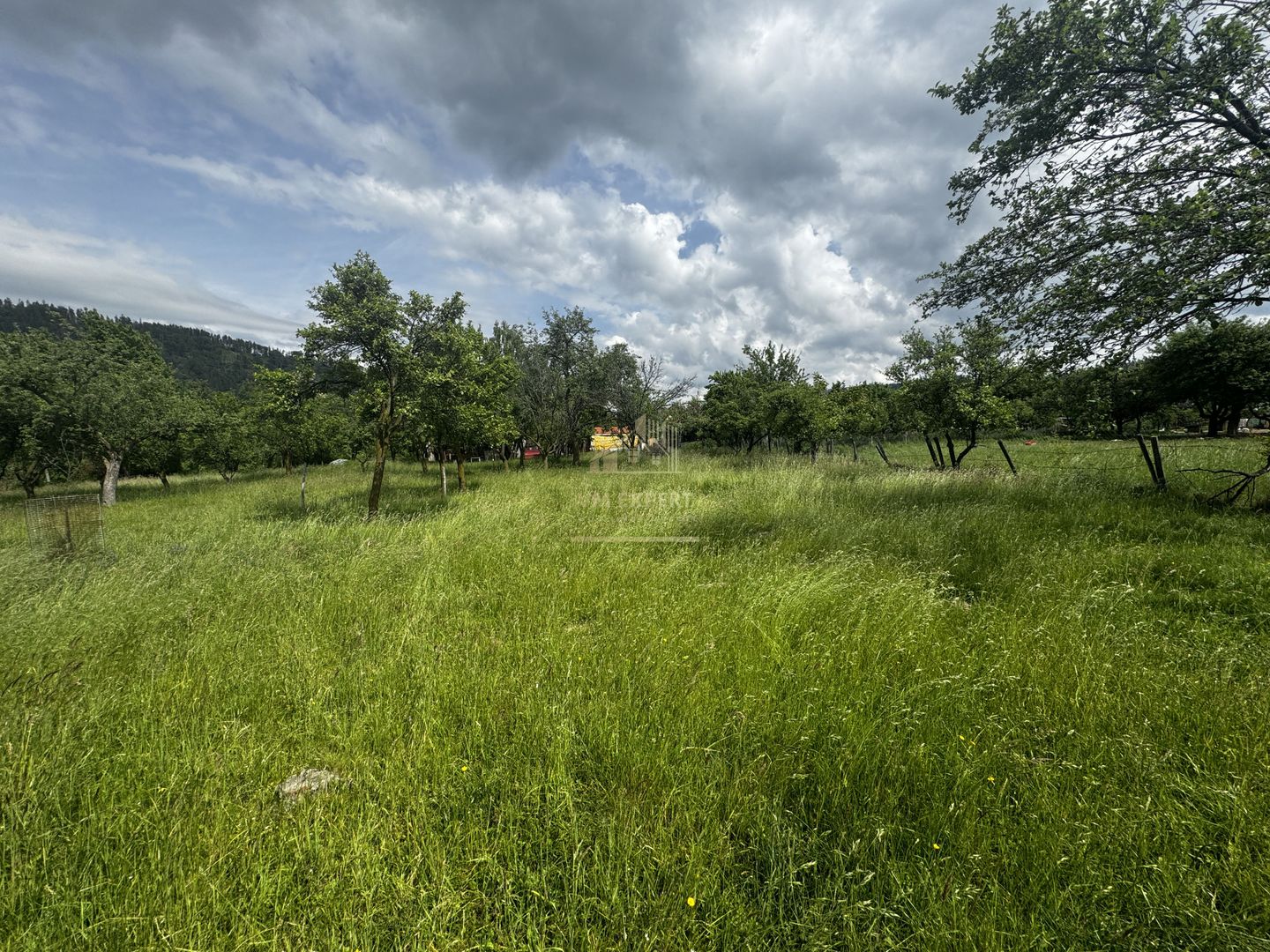 TEREN INTRAVILAN 4600 MP, VOINESTI, LERESTI, ARGEȘ - Poză 16