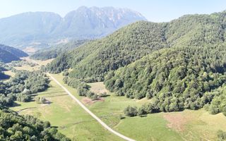 2 Loturi a 2124+2744mp Barsa Fierului / Plaiul Foii - Poză 2