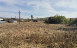 Vanzare teren arabil 22 Ha, plan, Arges, Moraresti - Poză 3