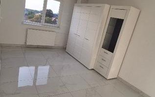 Garsoniera renovata zona Sagului - Poză 2
